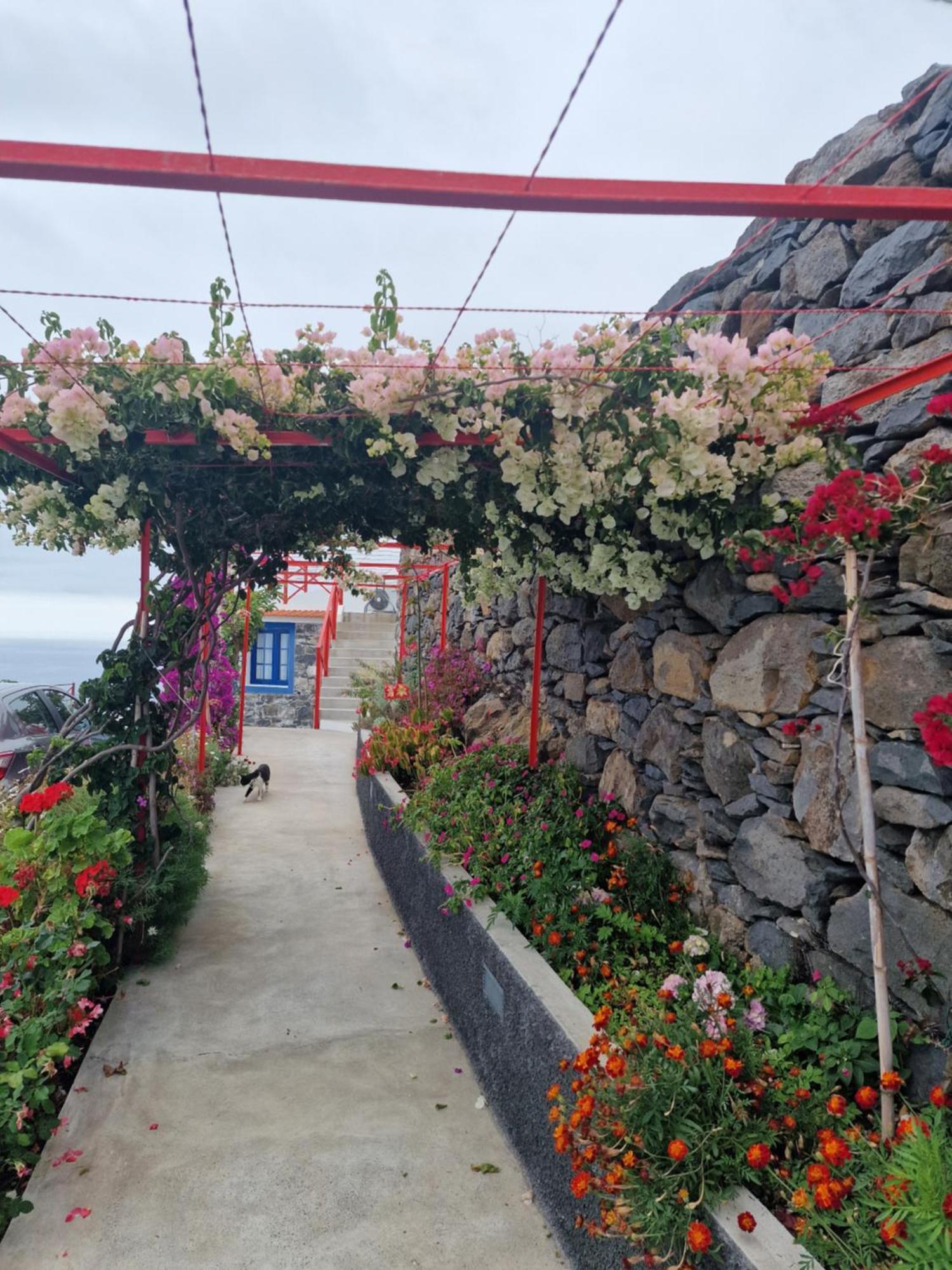 Casa Villa Dinastia Sotao Y Casa Villa Dinastia Miramar リベイラ・ブラーヴァ エクステリア 写真